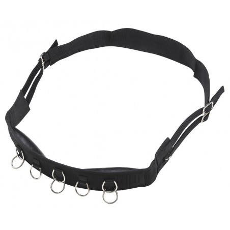 Arbeitslonge Riding World synthetisch