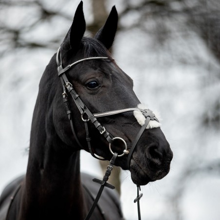 Trense Valencia mit kombiniertem Reithalfter und Strass