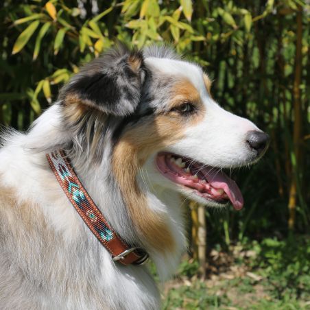 Hundehalsband Pénélope Pearl