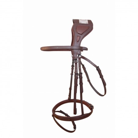 Trensenzaum mit Chagall-Brücke T de T