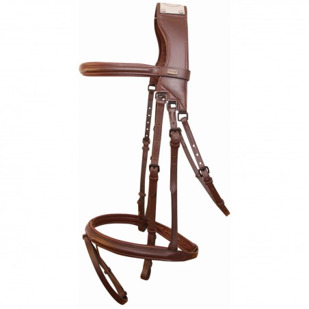 Trensenzaum mit Bügel Raphaël T de T