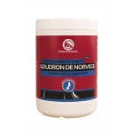 Norwegischer Teer Paskacheval