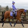 LeMieux Loire Dressur Schabracke Junior - Bluebell