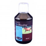 Kein blutender Pferdemeister