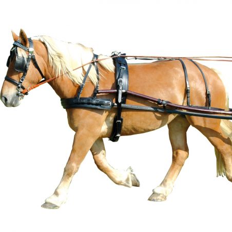 EURO-Geschirr im Paar mit Rückengurt Chetak