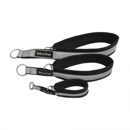 Halsband für Hunde Molly Back on Track