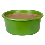 Delizia Leckstein Bronchial