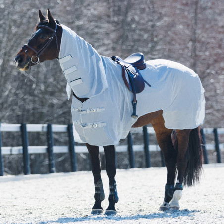 Fliegendecke Orleans Quarter für das Reiten von Horze