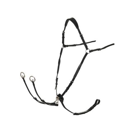 Brustblatt mit Martingal LeMieux