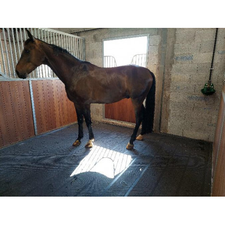 Hauptmatte – Boxenboden