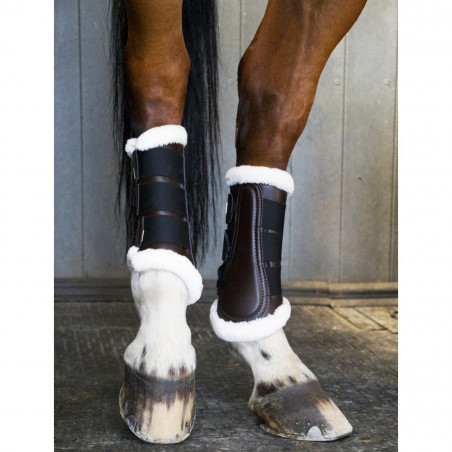 Hintere Dressurgamaschen T de T