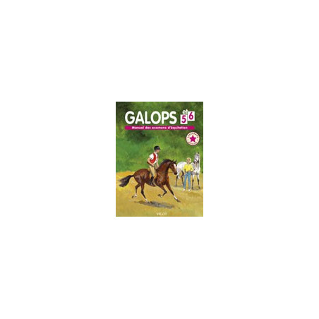 Galopp 5 und 6