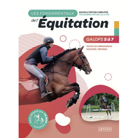 Die Grundlagen Galops 5 bis 7