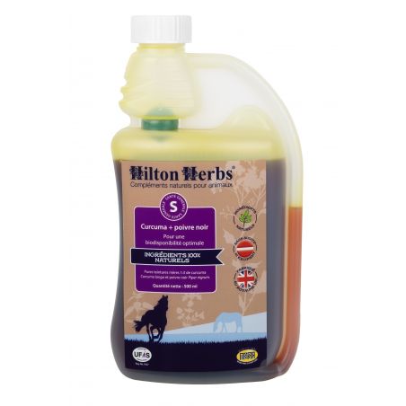 Kurkuma und Schwarzer Pfeffer Hilton Herbs