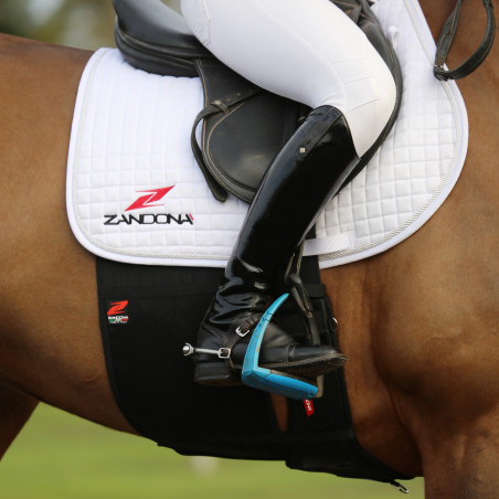 Respect-Band Zandona Evo Superior