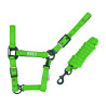 Nylonhalfter Pool's schwarze Schnallen mit Führstrick - Limettengrün