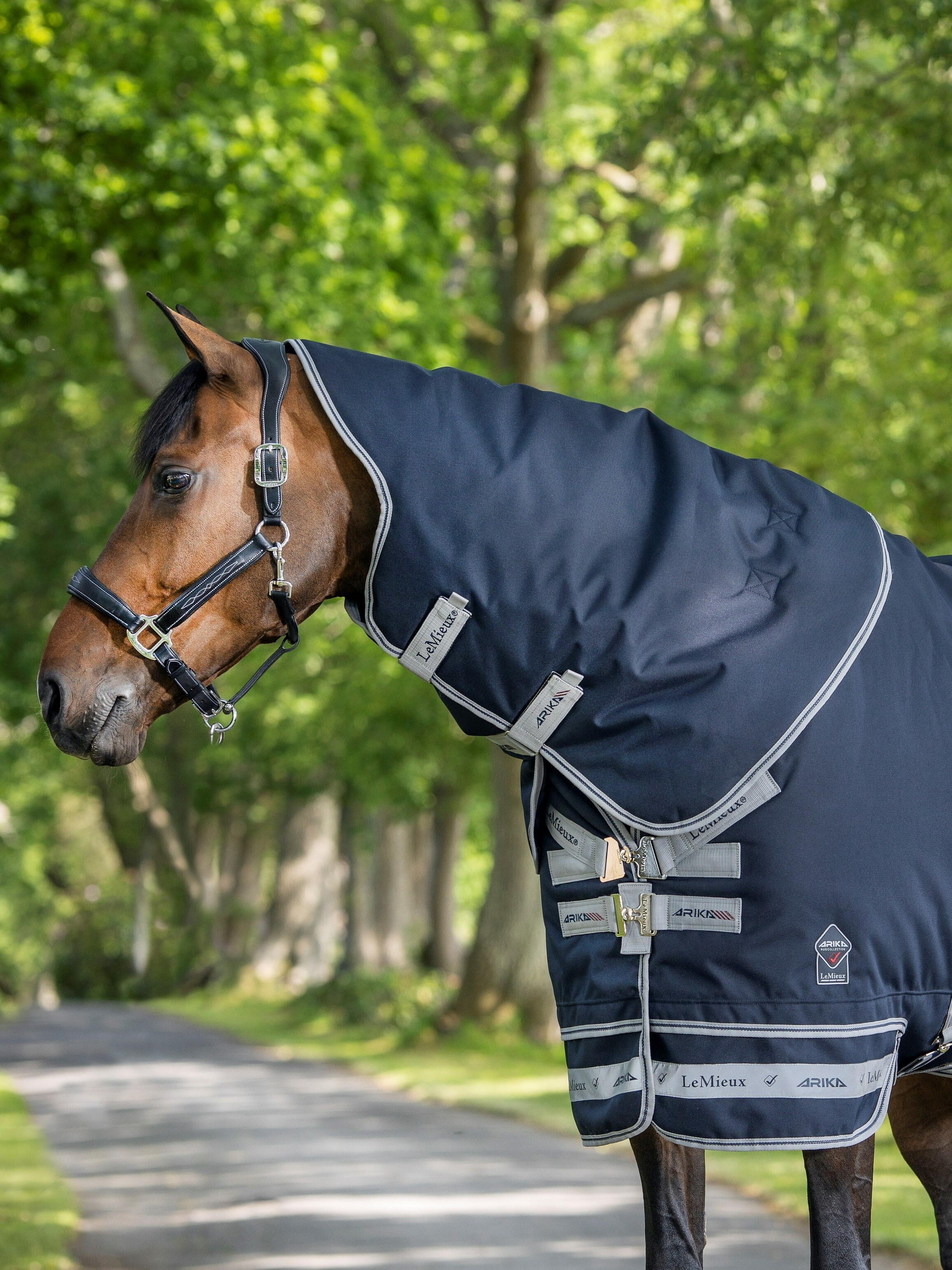 Halsabdeckung LeMieux Arika Storm-Tek 200g Marineblau