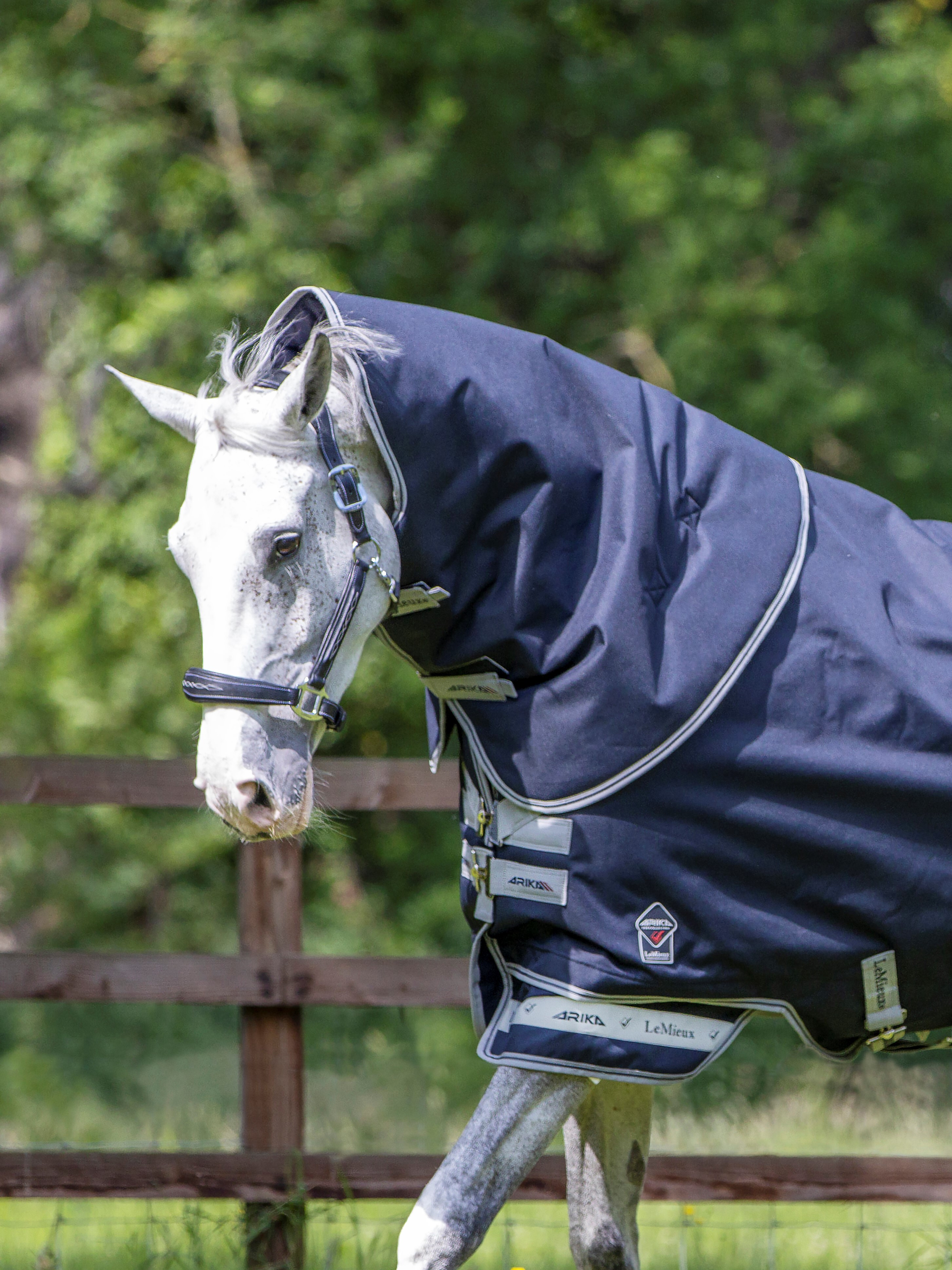 Halsabdeckung LeMieux Arika Storm-Tek 200g Marineblau