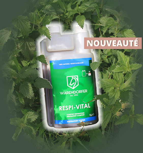 Gewinnspiel