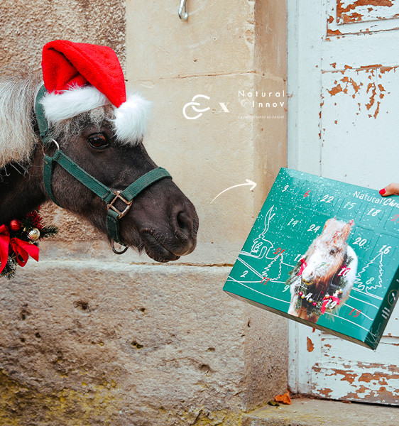 Natürliches Weihnachten