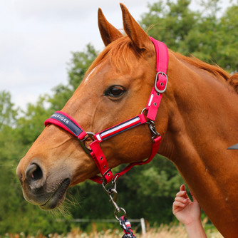 Entdecke die Tommy Equestrian Kollektion Frühjahr/Sommer 2026
