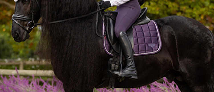 Entdecken Sie die LeMieux Herbst-/Winterkollektion 2025