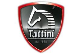 Tattini