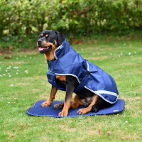 Tapis pour chien Bucas Therapy Marine / orange