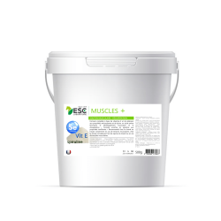 Muscle+ ESC Laboratoire Muscle+ ESC Laboratoire