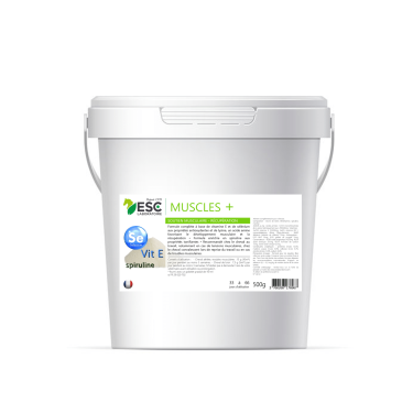 Muscle+ ESC Laboratoire Muscle+ ESC Laboratoire