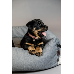 Hondenhalsband Velvet Kentucky Altrosa