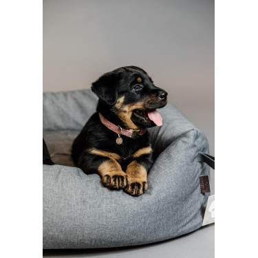 Hondenhalsband Velvet Kentucky Altrosa