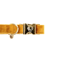 Hondenhalsband Velvet Kentucky Altrosa