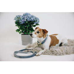 Hondenhalsband Velvet Kentucky Hellblau