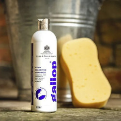 Gallop® Fleckenshampoo Carr & Day & Martin Gallop® Fleckenshampoo Carr & Day & Martin