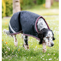 Couverture chien Amigo Ripstop Horseware Imprimé HW marine / bordeaux / blanc