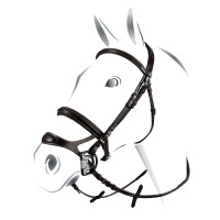 Bride combinée Equestro Noir
