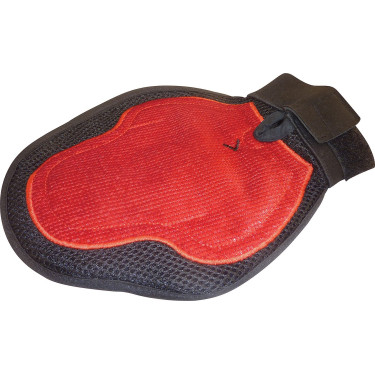 Putzhandschuh/Striegel Putzhandschuh/Striegel