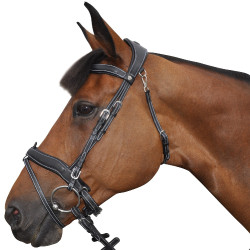 Bridon Flags & Cup Comfort kombiniert Bridon Flags & Cup Comfort kombiniert