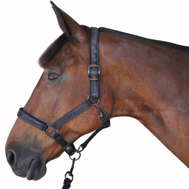 Halfter + Führstrick Canter Halfter + Führstrick Canter