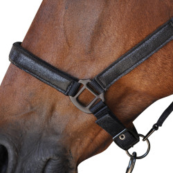 Halfter + Führstrick Canter Halfter + Führstrick Canter