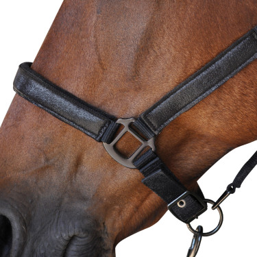 Halfter + Führstrick Canter Halfter + Führstrick Canter