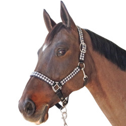Set Halfter + Führstrick Hahnentritt Canter Set Halfter + Führstrick Hahnentritt Canter