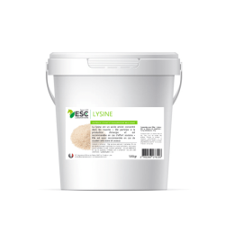 Lysin + ESC Laboratoire Lysin + ESC Laboratoire