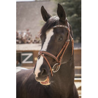 Bridon Pénélope Smoothie Pearl Cognac / Türkis