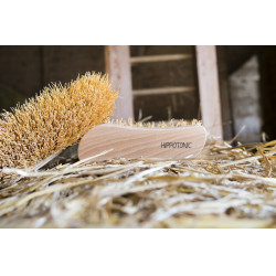 Natürlicher Stopfen Hippotonic Kleines Modell Natürlicher Stopfen Hippotonic Kleines Modell