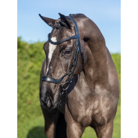 Bridon LeMieux Arika deutsches Reithalfter Schwarz / Silber