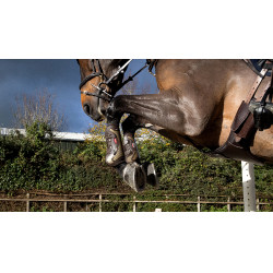 Gamaschen Exo-Flex® LeMieux Braun