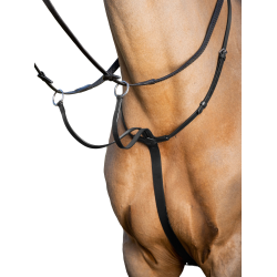 Ringmartingal LeMieux Arika Schwarz / Silber