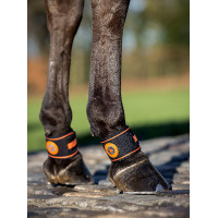 Fesselkopfschutz Magno LeMieux Schwarz